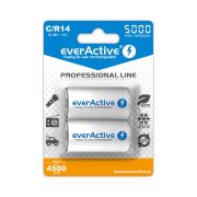 everActive C 5000mAh Professional akku (ár/db) ready to use