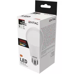 Entac LED Globe E27 8W izzó 
