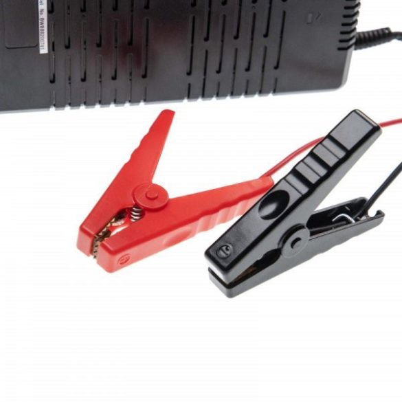 12.8 V, LiFePO4 - DC 14.6 V / 30 A - Utángyártott töltő