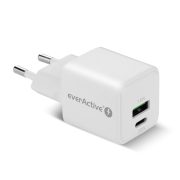 everActive USB tölto SC-330Q 1*USB + 1*Type-C 20W