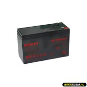 SLA 12V 7Ah zselésakku T1 Reddot DD 12070.T1