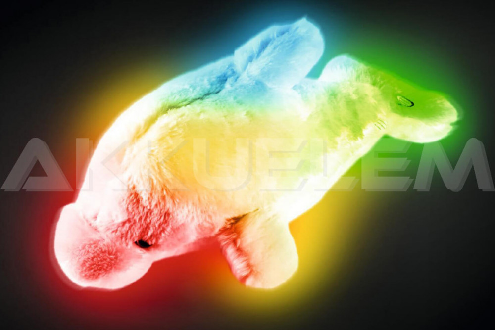 Delfin PLÜSS éjszakai fény 8LED